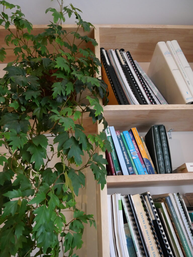 Bibliothèque en bois, rangement élégant pour vos livres et objets de décoration